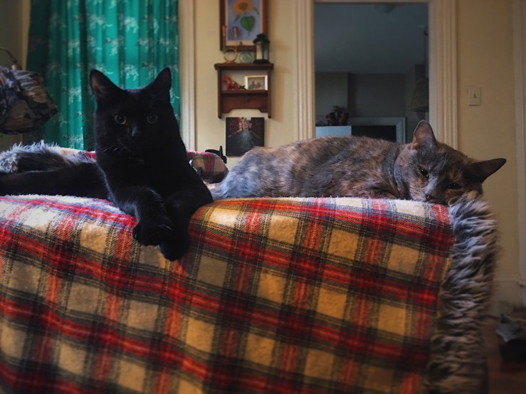 ACBA0B88-995C-49ED-9A82-D94A45B6767E